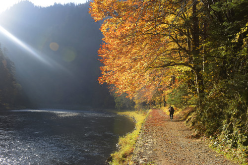 Spływ Dunajcem _DSC1144