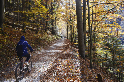 Spływ Dunajcem _DSC6754